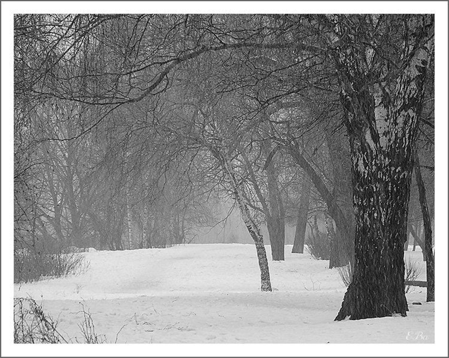 зима пруд, Екатерина (PhotoJourneys.ru) Васягина