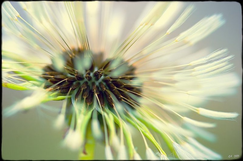 ... фото превью