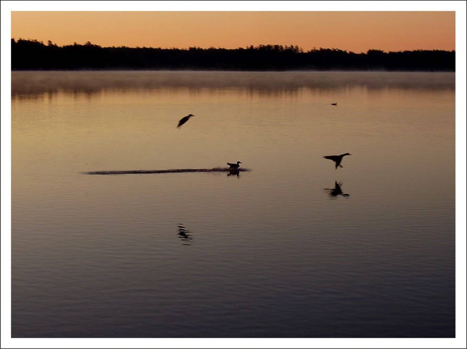 Белое озеро, Иринка И.