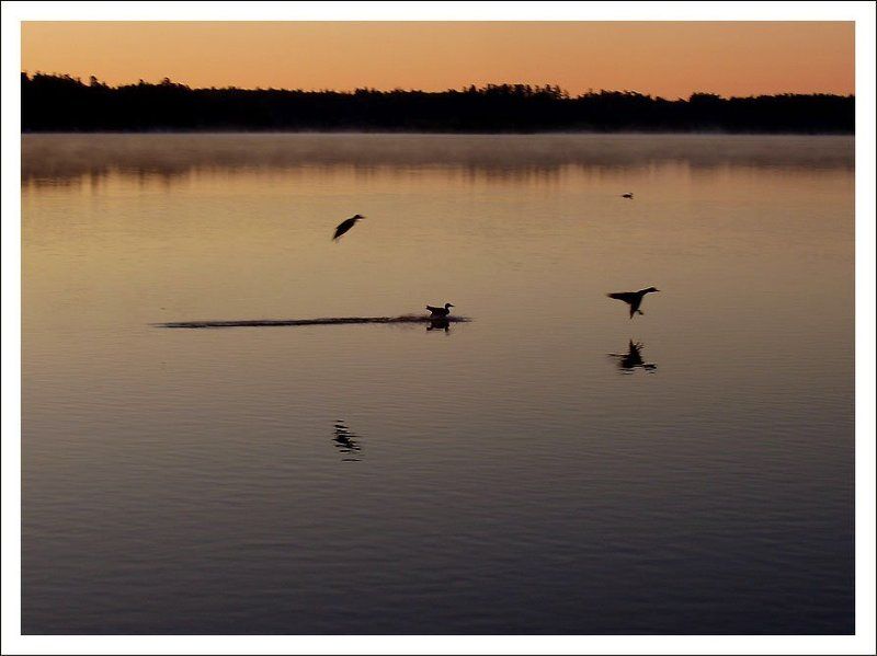 Белое озеро Утро на озере фото превью