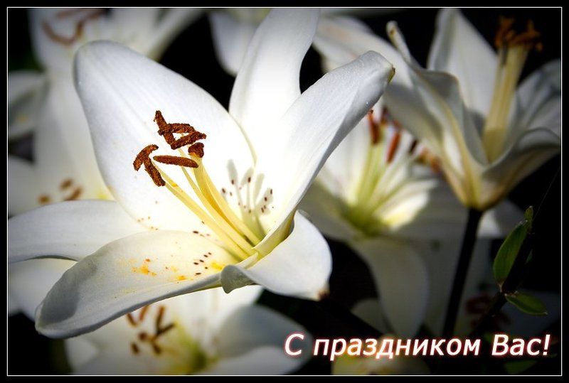 восьмое, панимашь, марта джаст посткард :) фото превью