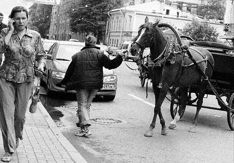 женщина,конь Алло, горящая изба? Сейчас будем! фото превью