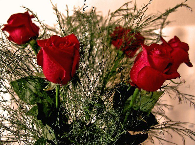 С праздником!(всем женщинам на 35photo) фото превью