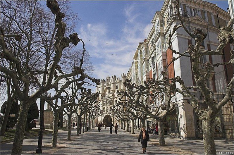 Испания, Бургос, улицы, платаны, небо, городские ворота Бургос. Улицы. фото превью