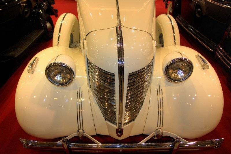 Рыба-молот, senjor