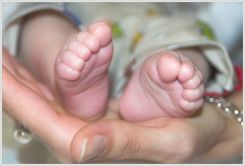 Сокровище фото превью