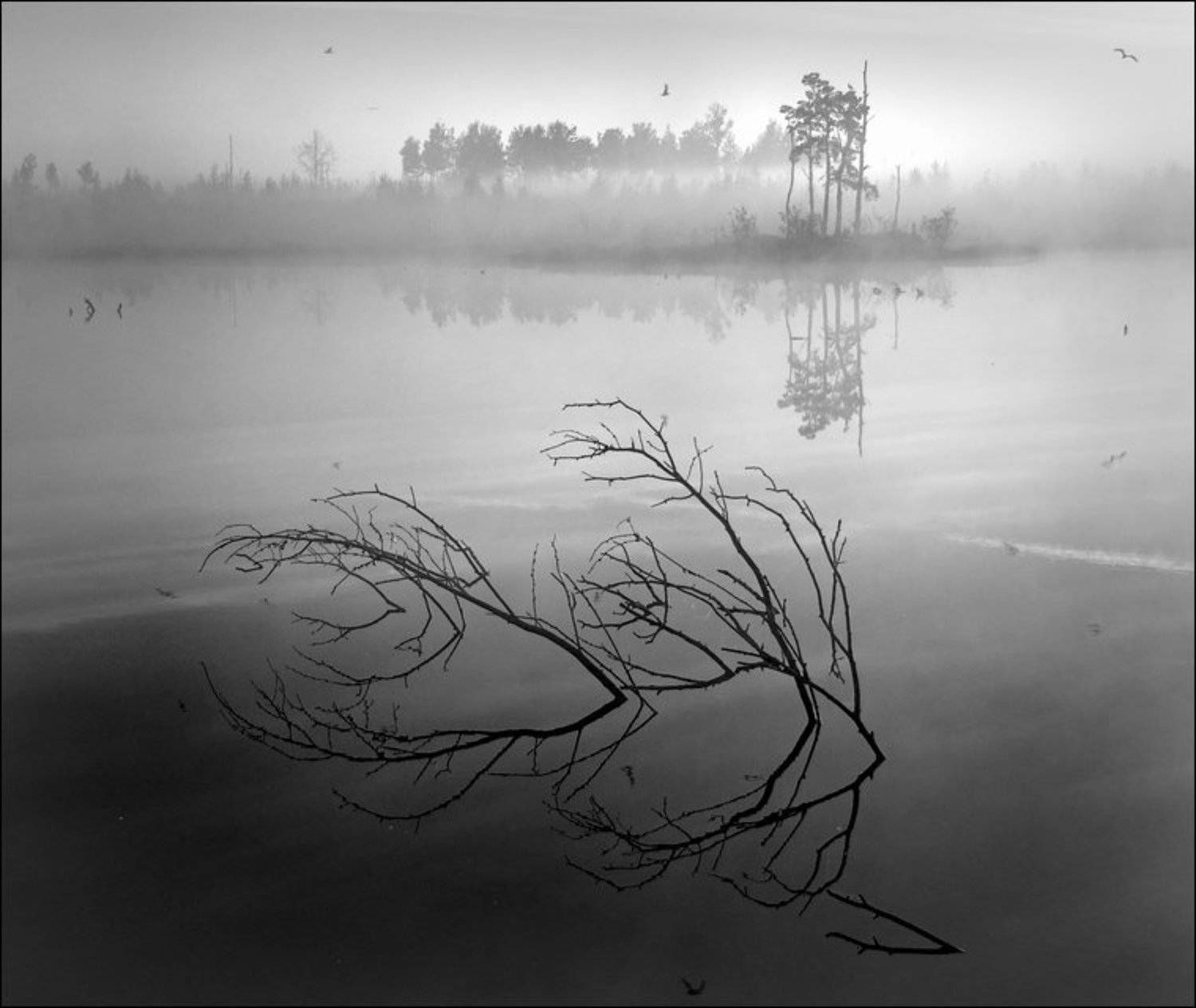 туман утро болото, Сергей Чубаров