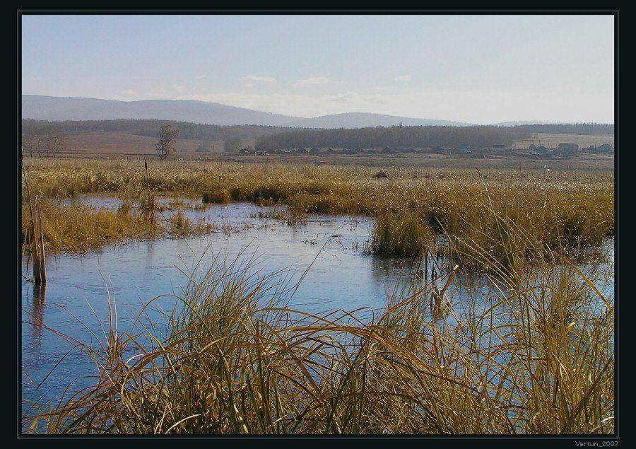 осень,берег,озеро,камыш, Игорь Глушко
