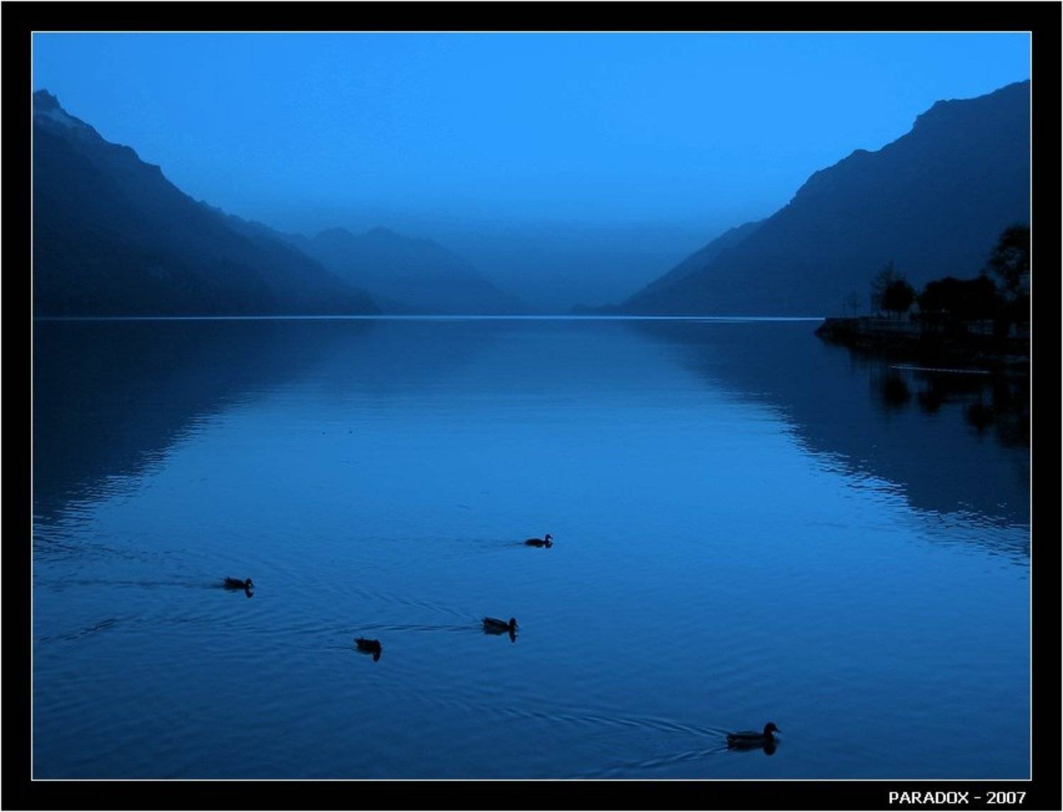 Швейцария, Озеро, Бриенц, Утки, пятерка уток,вечер,PARADOX, PARADOX