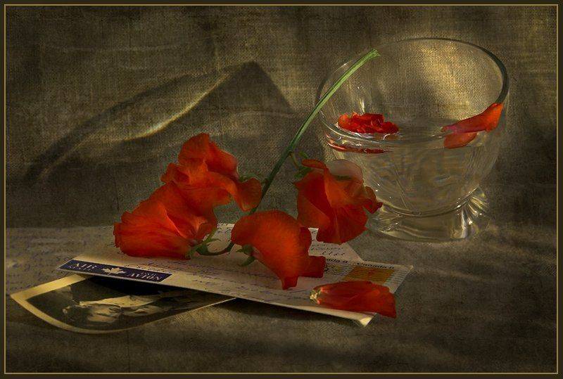 , Михаил Маслов