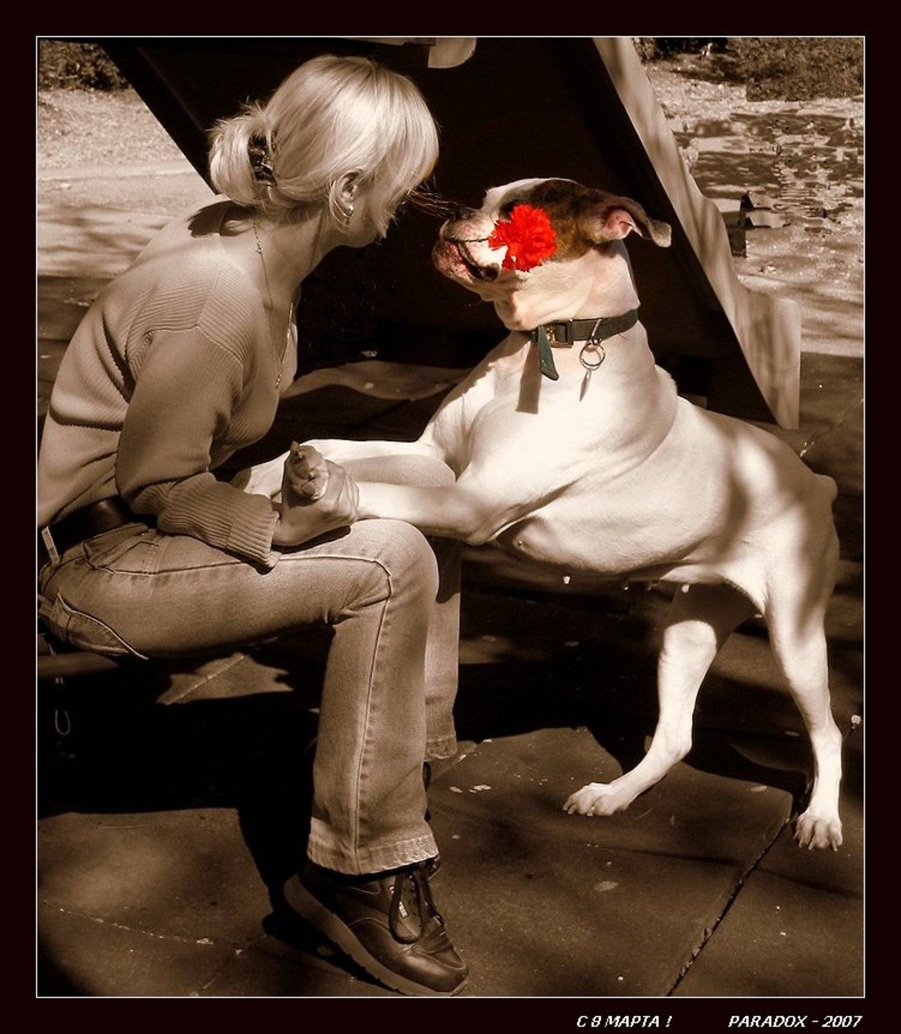 8 марта,Весна,Верность,Любовь,PARADOX, PARADOX