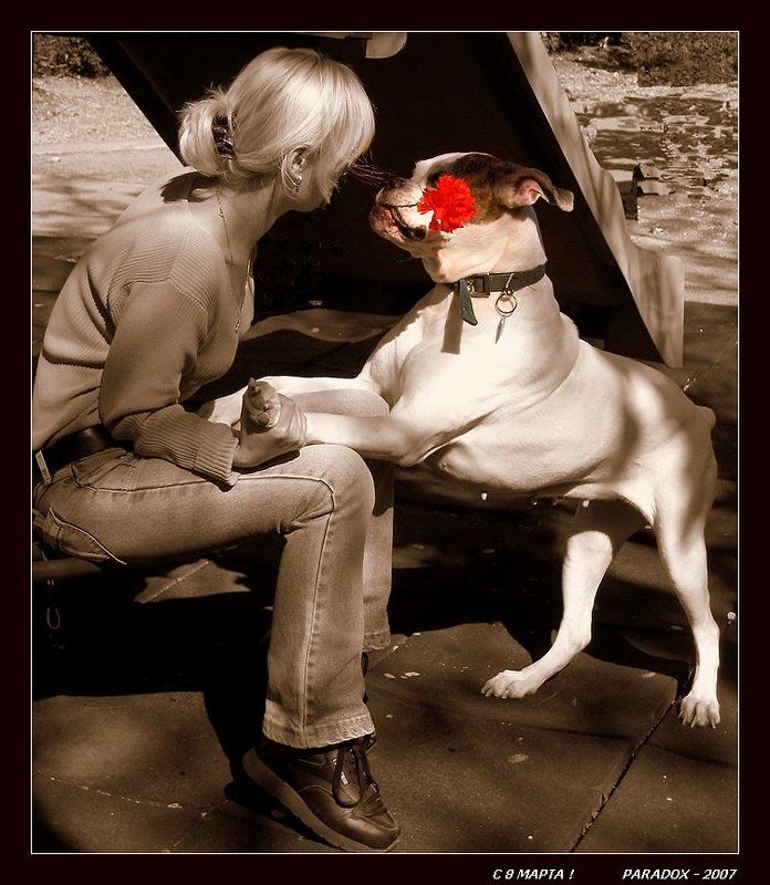 8 марта,Весна,Верность,Любовь,PARADOX О верности и любви -2 фото превью