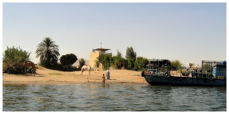 верблюд, мальчик, пальма, р. Нил, баржа Образы колониальной жизни фото превью