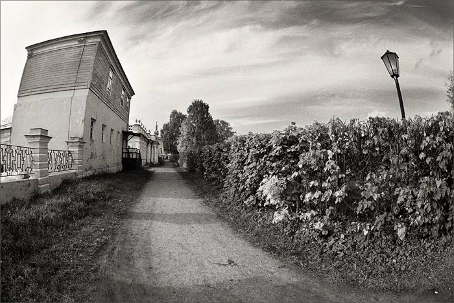 кусково, зенитар 16мм, Алексей и Оксана Самсоновы