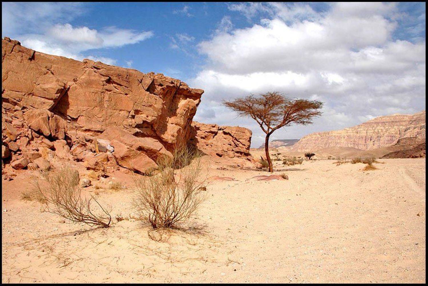 Египет, ВладимирКо