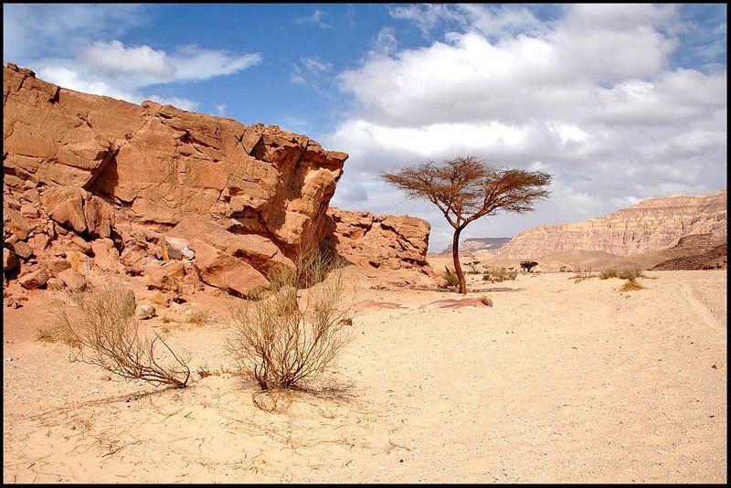 Египет Каменистая пустыня фото превью