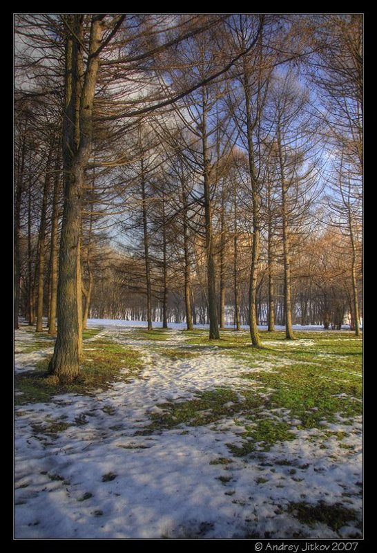 москва, весна, март, снег, трава, деревья, пейзаж, photohunter Весна наступает.. фото превью