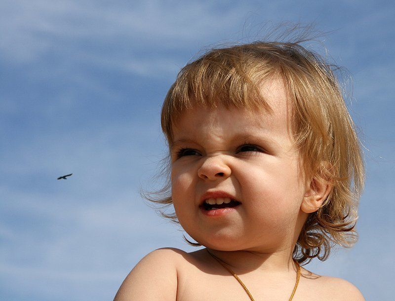 Южное Солнце фото превью