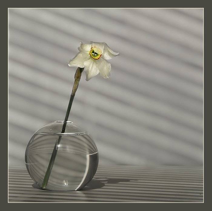 , Михаил Маслов