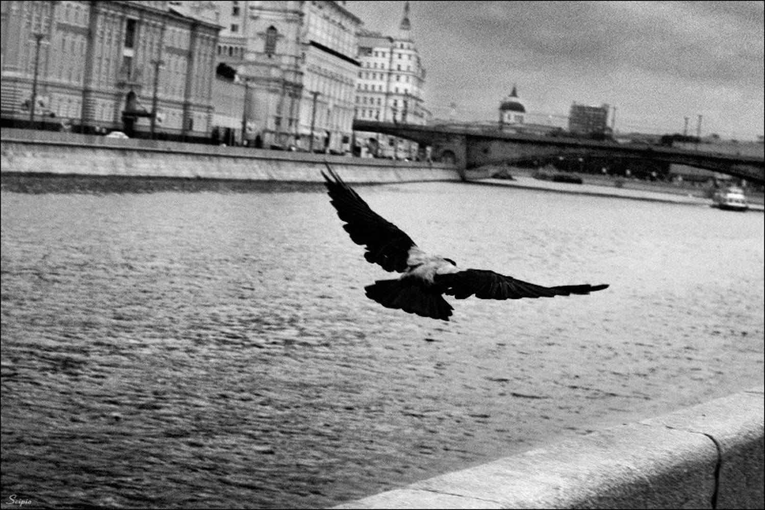 полёт, старый, город, Илья Турецкий