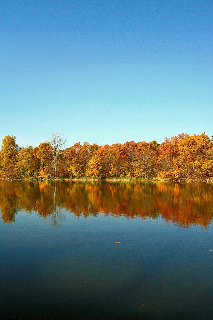 осень, озеро,, artboogie