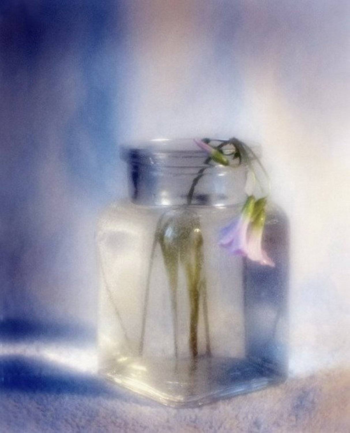 монокль, Kassiopey