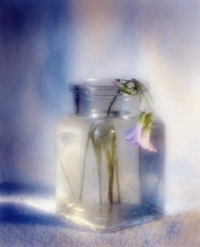 монокль простыми словами о весне фото превью