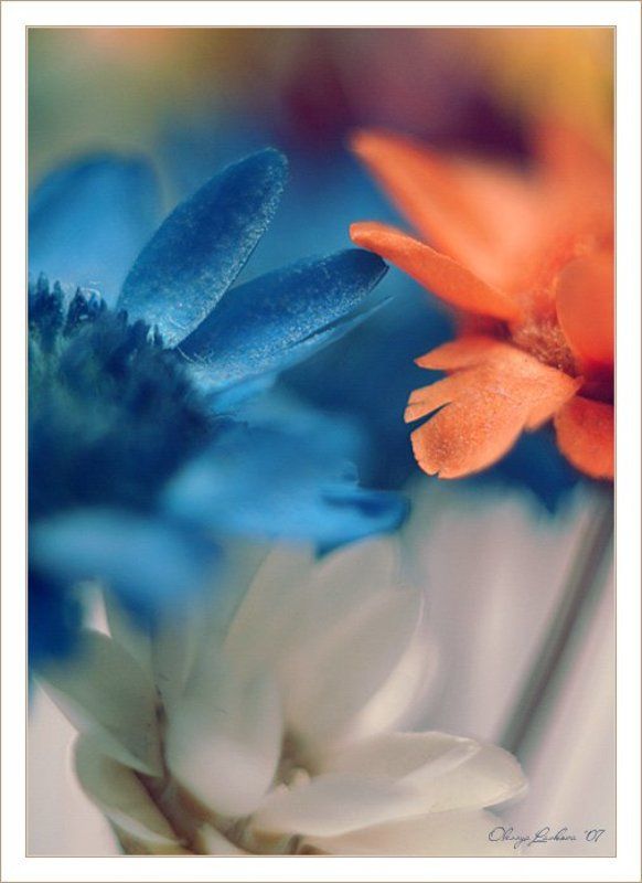 тепло фото превью