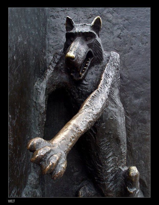 волк, wolf wolf фото превью