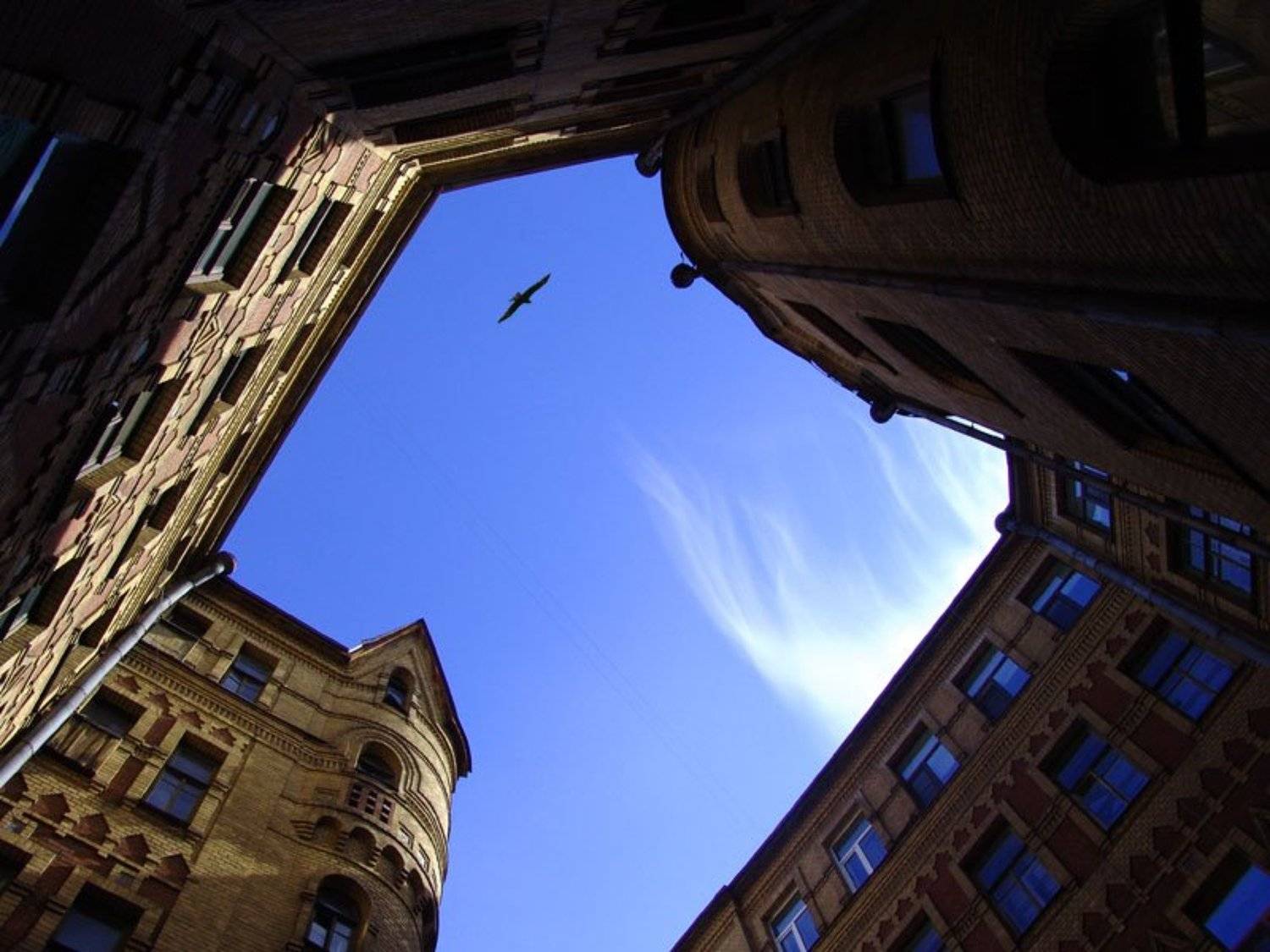 двор-колодец, Петербург, Ксения