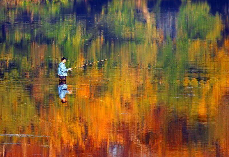 акварель, осень  фото превью
