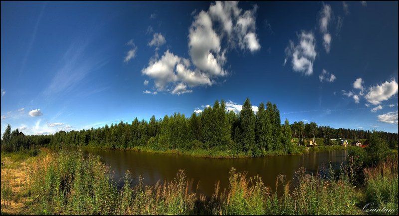 Берёзки на островке фото превью