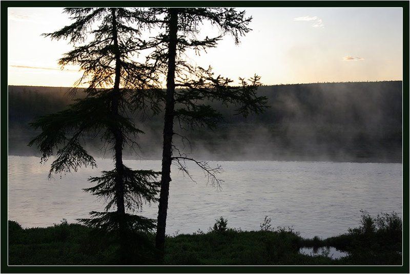 ночь,река,тайга Белая ночь фото превью