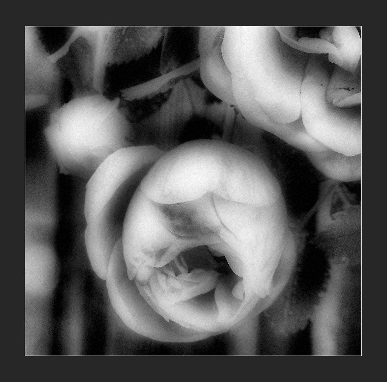 , Наталья Захарова