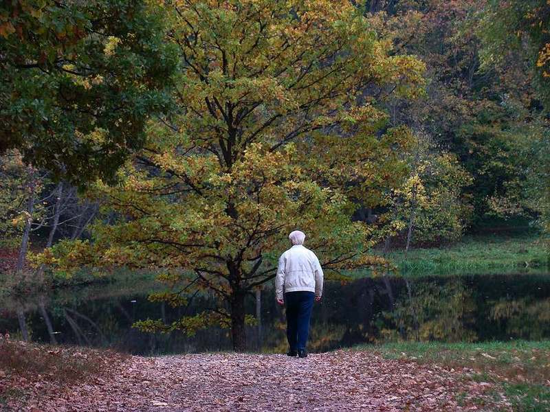 Осень жизни.... фото превью
