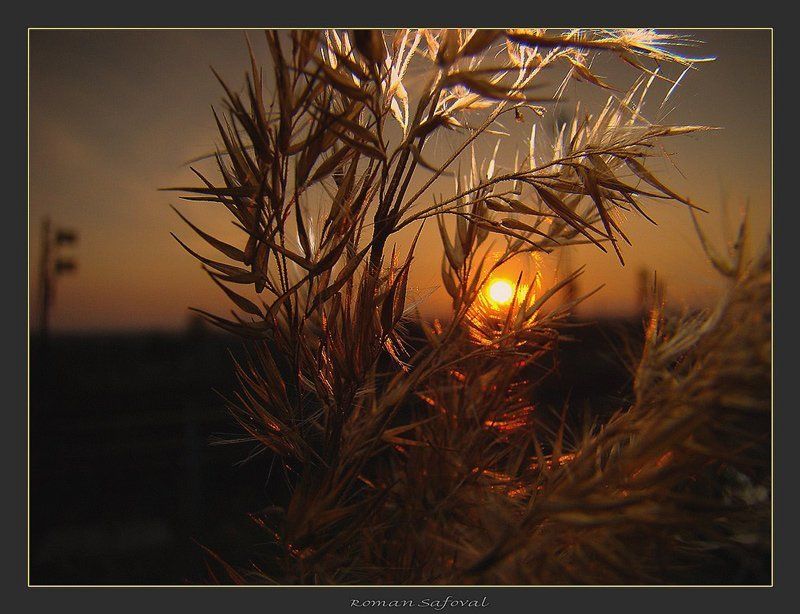 **** фото превью