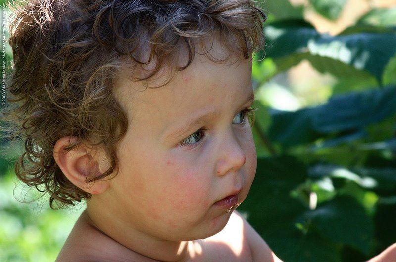 портрет, дети Купидон II фото превью