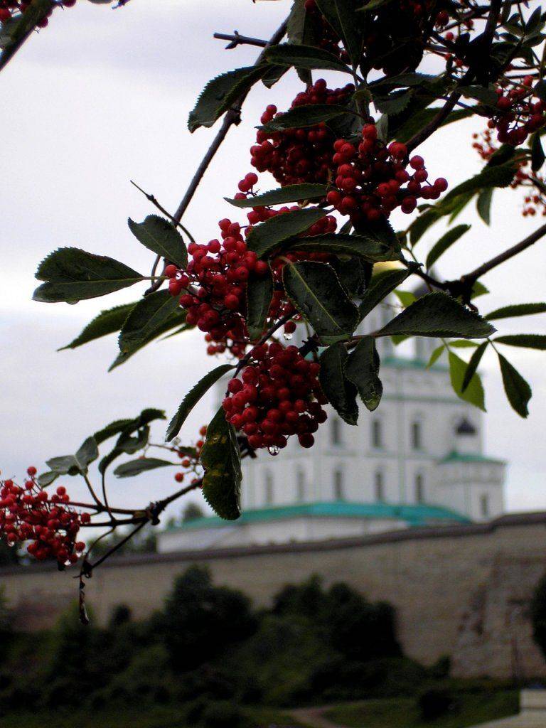 лето в монастыре, zabrik