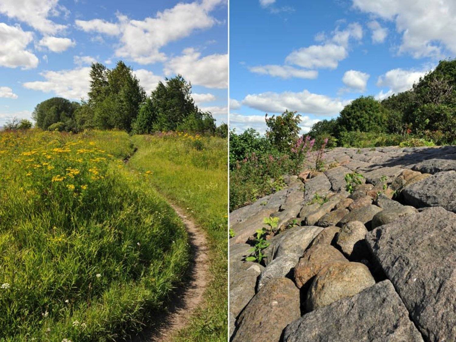 природа, пейзажи, прогулка, запах трав, ветерок, чистый воздух,, Вячеслав Архипов