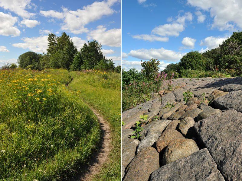 природа, пейзажи, прогулка, запах трав, ветерок, чистый воздух, Канонерские пейзажики фото превью