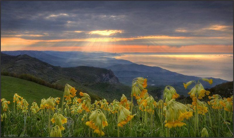 крым, рассвет, утро, море, лучи, солнце, горы, пейзаж * * * фото превью