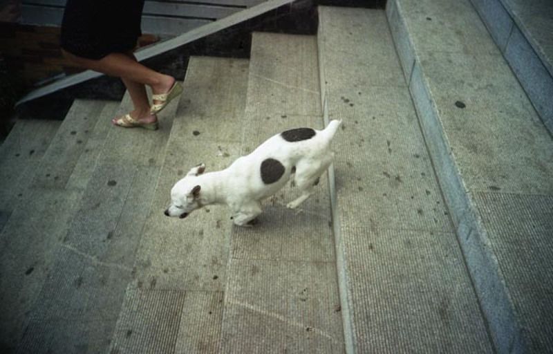 *** фото превью