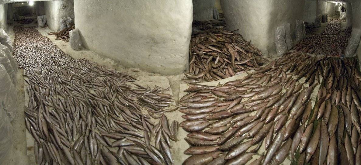 север, Danil Husainov