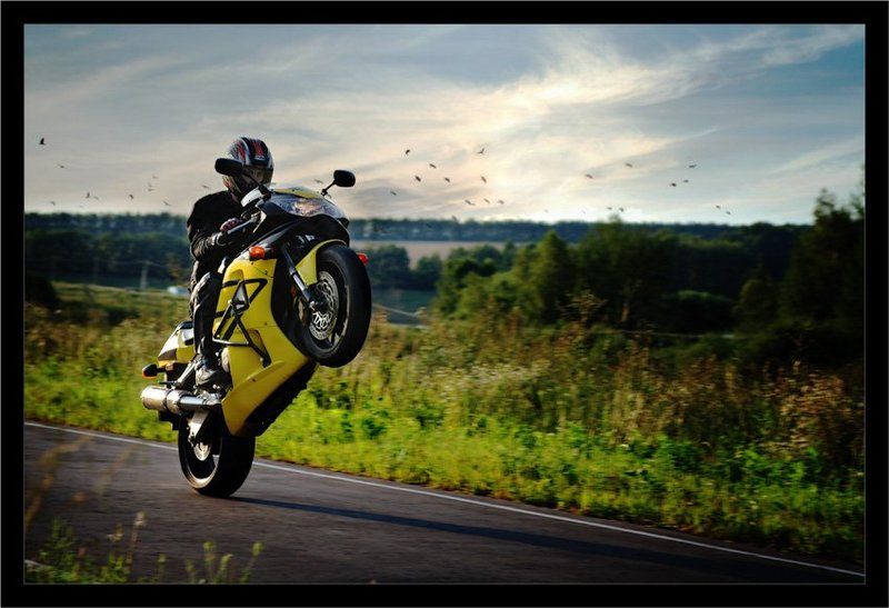 honda cbr929 fireblade, вилли, пенза, чистые пруды На взлёт фото превью