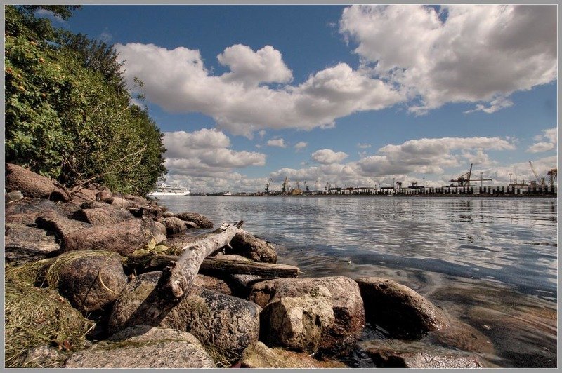 канонерский,остров,природа Канонерские зарисовки... фото превью