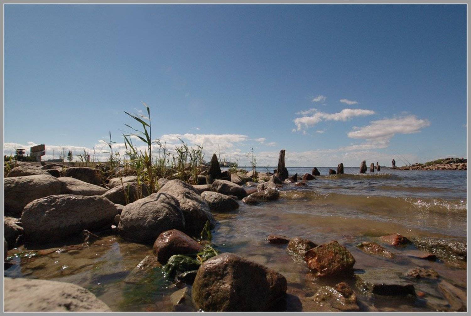 канонерский,остров,природа, domovoi