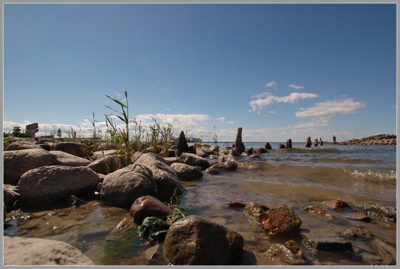 канонерский,остров,природа Канонерские зарисовки...(2) фото превью