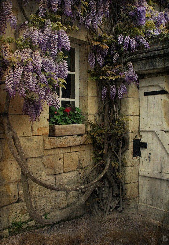 красная, шапочка, сказка, домик, бабушки Домик Бабушки фото превью