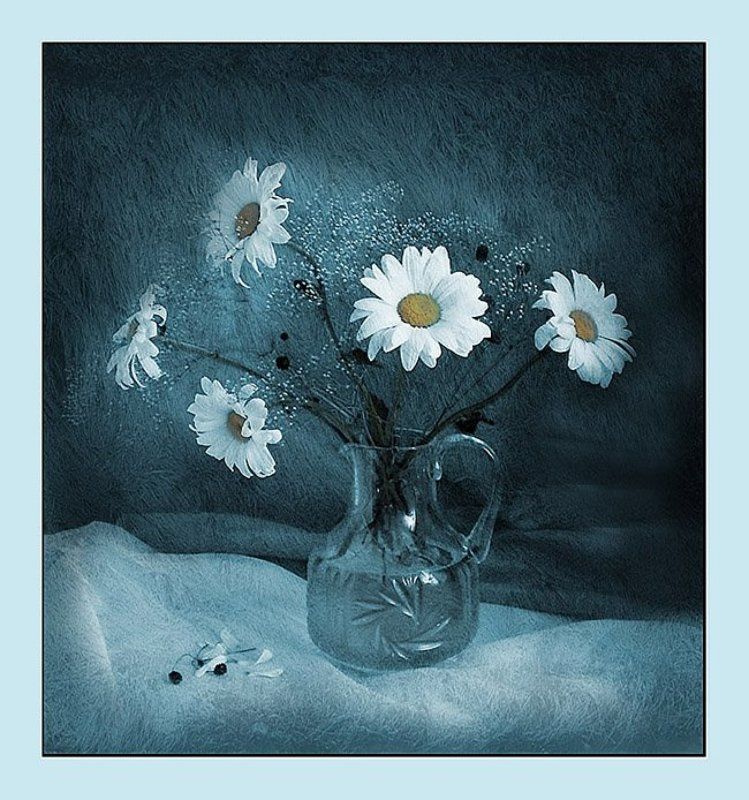 натюрморт Ромашки ..позеленели)) фото превью