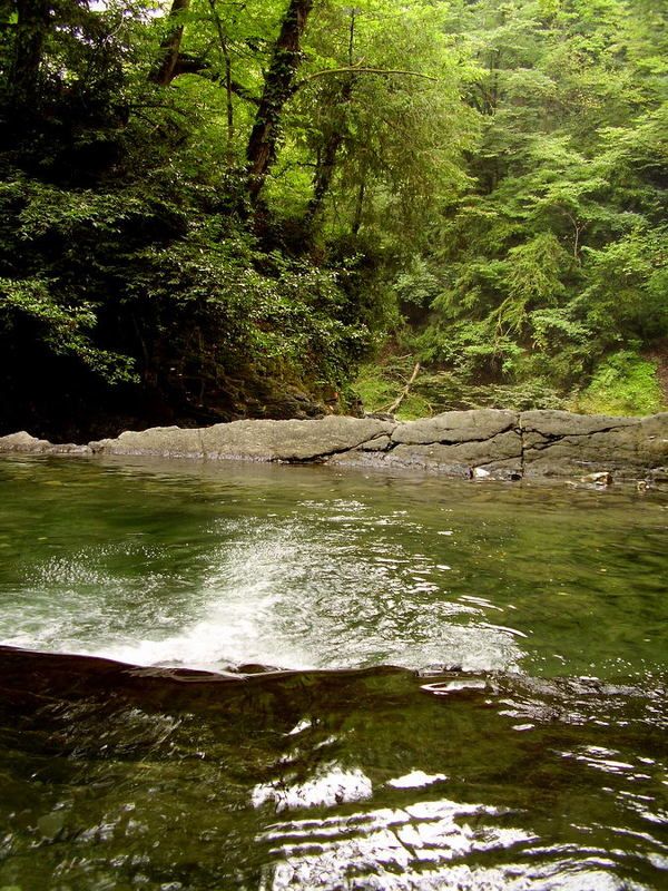 озера любви, водопад, лес, сочи Озера любви (Дагомыс) фото превью